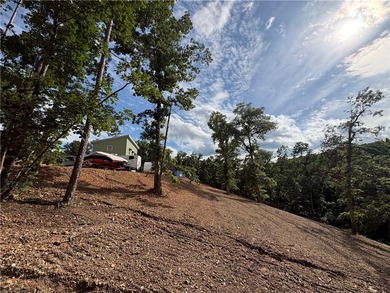 Getaway ready! Building Ready! Hard to find 2 acres with garage - photo 11