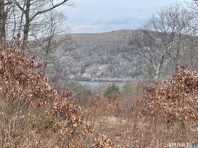 Calling all nature lovers! Build your dream home on this amazing - photo 18
