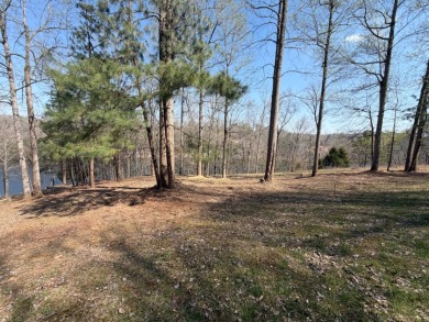 Lake Malone!! Great 1.16 +/- lakefront building lot on Lake - photo 8