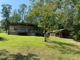 Lake Eufaula Home For Sale in Abbeville Alabama