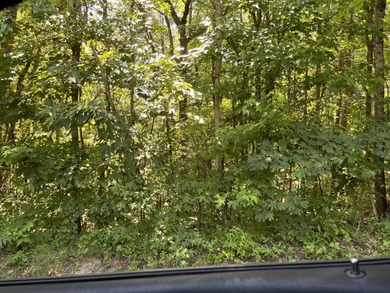 Chickamauga Lake Lot For Sale in Soddy Daisy Tennessee