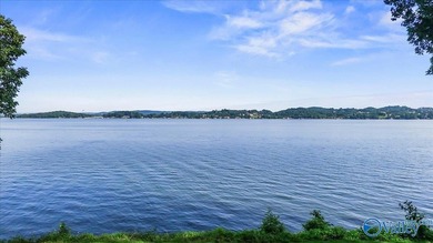 The Premier Waterfront lot on Signal Point. This opportunity - photo 3