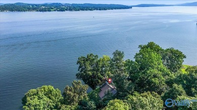 The Premier Waterfront lot on Signal Point. This opportunity - photo 10