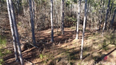 Lake Acreage For Sale in Elberton, Georgia