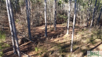 Lake Acreage For Sale in Elberton, Georgia