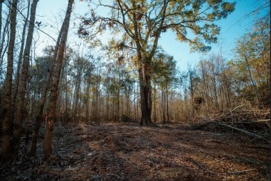 Lake Lot For Sale in Surrency, Georgia