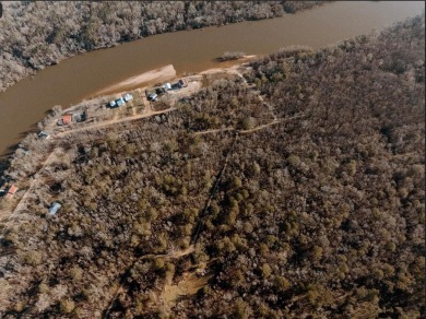 Lake Lot For Sale in Surrency, Georgia