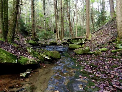 Lake Acreage For Sale in Gruetli Laager, Tennessee