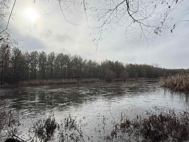 (private lake, pond, creek) Acreage For Sale in Earle Arkansas