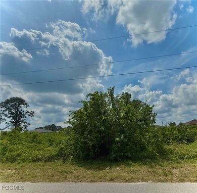 Lehigh Acres Area Lot For Sale in Lehigh Acres Florida