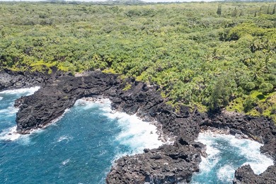 Discover the magic of Old Hawaii with this stunning 2+ acre - photo 1