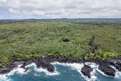 Discover the magic of Old Hawaii with this stunning 2+ acre - photo 3
