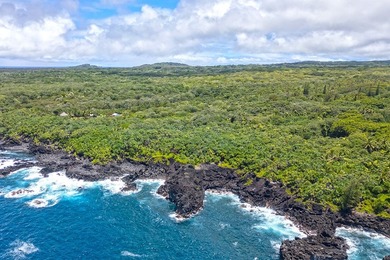 Discover the magic of Old Hawaii with this stunning 2+ acre - photo 4