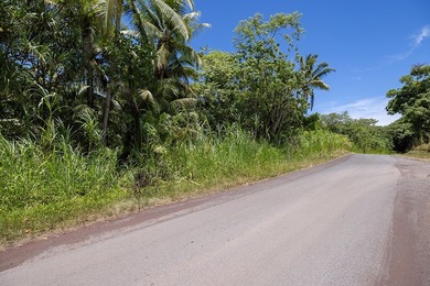 Discover the magic of Old Hawaii with this stunning 2+ acre - photo 7