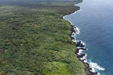 Discover the magic of Old Hawaii with this stunning 2+ acre - photo 8