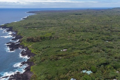 Discover the magic of Old Hawaii with this stunning 2+ acre - photo 9