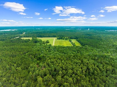 Experience the ultimate in privacy and tranquility with this - photo 12