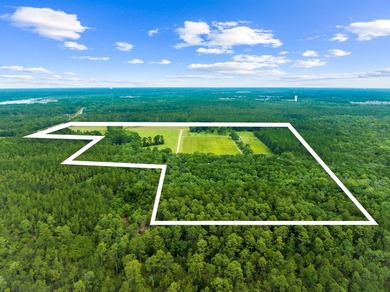 Experience the ultimate in privacy and tranquility with this - photo 13