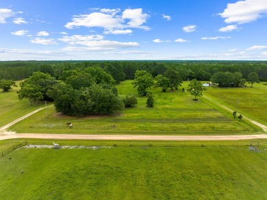 Experience the ultimate in privacy and tranquility with this - photo 30