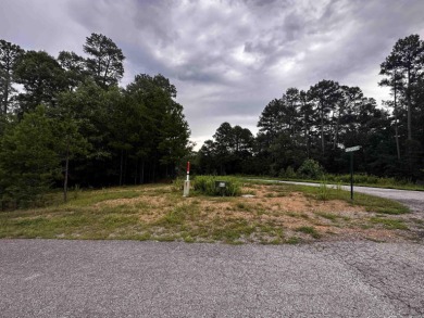 Lake Lot For Sale in Shirley, Arkansas