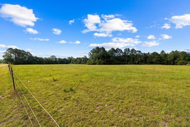 Experience the ultimate in privacy and tranquility with this - photo 38