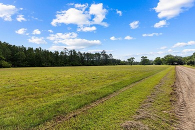 Experience the ultimate in privacy and tranquility with this - photo 39