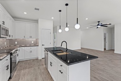 Discover this stunning brand-new 4-bedroom, 2-bathroom home in - photo 9