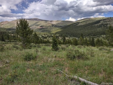 (private lake, pond, creek) Acreage For Sale in Alma Colorado
