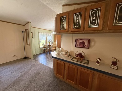 Well-maintained 1-owner, 2-bedroom, 2-bath manufactured home - photo 9