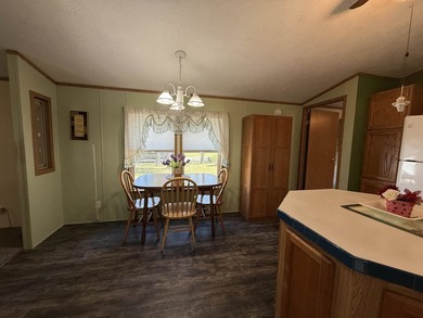 Well-maintained 1-owner, 2-bedroom, 2-bath manufactured home - photo 10