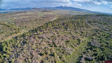 Gurley Lake  Lot For Sale in Norwood Colorado