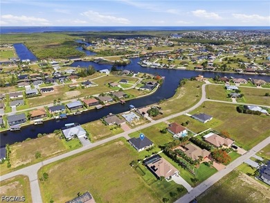 MOVE-IN READY and loaded with upscale upgrades, this stunning - photo 5