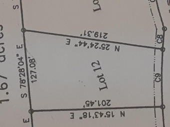 Lake Eufaula Lot For Sale in Abbeville Alabama