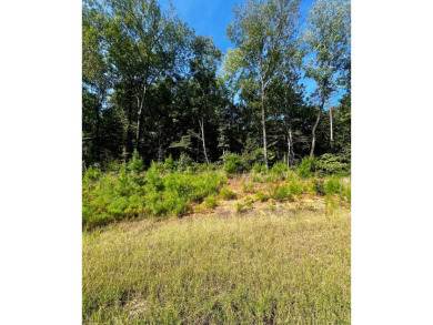 Coca Lake Acreage For Sale in Cataula Georgia