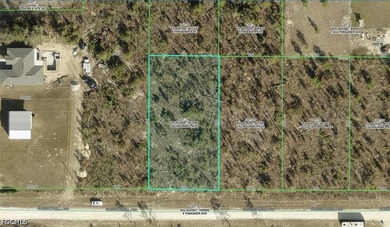 This spacious lot offers plenty of room for a custom single - photo 1