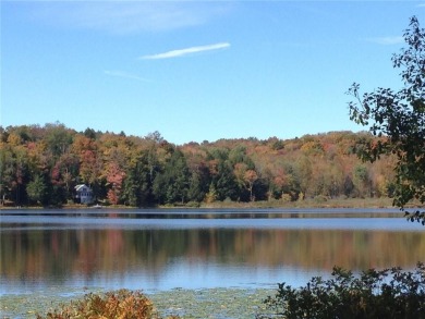 Summit Lake - Otsego County Home For Sale in Edmeston New York