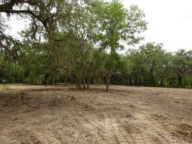 Build Your Florida Dream Home with Lake views! Nestled in the - photo 11