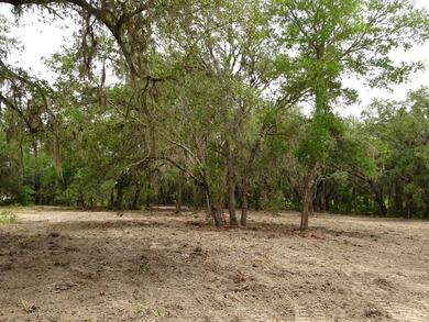 Build Your Florida Dream Home with Lake views! Nestled in the - photo 12