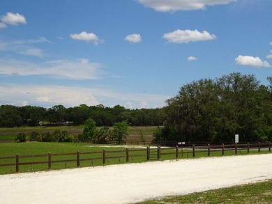Build Your Florida Dream Home with Lake views! Nestled in the - photo 16