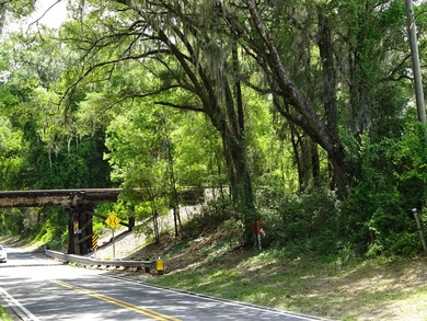 Build Your Florida Dream Home with Lake views! Nestled in the - photo 17