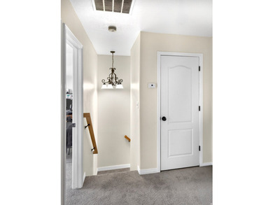 This home is so light and bright! Welcome to 802 Sugar Maple Ct - photo 19