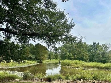Prime opportunity just outside the city limits of Conway in - photo 1