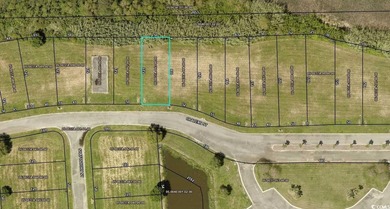 Waccamaw River Lot Sale Pending in Georgetown South Carolina