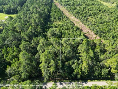 Discover 7.5 Acres in Bay St. Louis! Just 15 minutes from the - photo 3