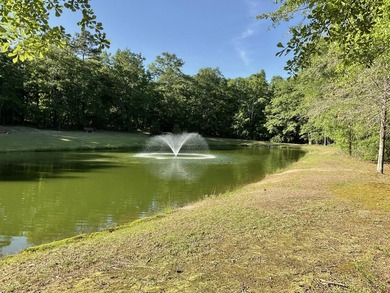 Desirable cul-de-sac location with a neighborhood park opposite - photo 5