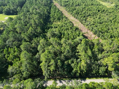 Discover 7.5 Acres in Bay St. Louis! Just 15 minutes from the - photo 6