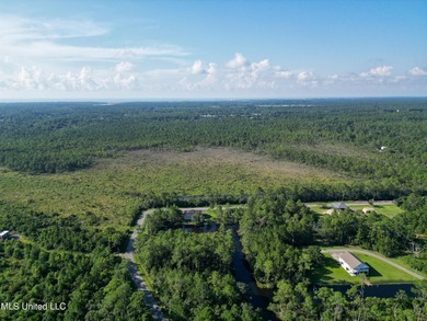 Discover 7.5 Acres in Bay St. Louis! Just 15 minutes from the - photo 7