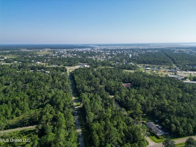 Discover 7.5 Acres in Bay St. Louis! Just 15 minutes from the - photo 9