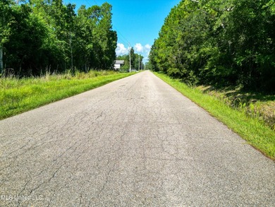 Discover 7.5 Acres in Bay St. Louis! Just 15 minutes from the - photo 10