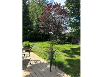Welcome to this beautifully updated 4-bedroom, 2-bath Cape that - photo 28